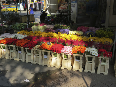 906416 Afbeelding van een uitstalling met bloemen op de de zaterdagse warenmarkt bij de kiosk (Vredenburg) te Utrecht.